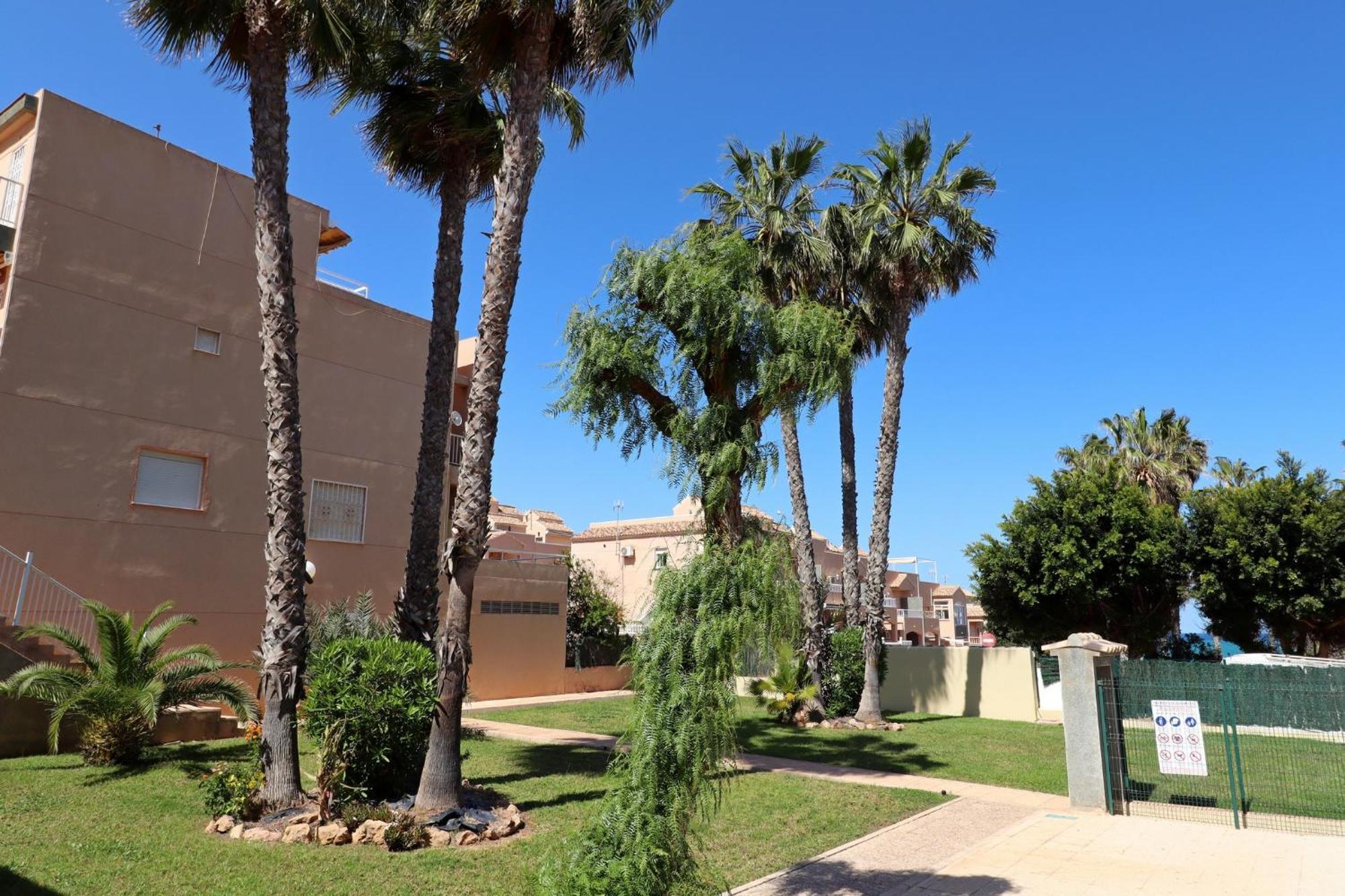 Apartamento Casa De Alba Cabo Cervera La Mata Торевьиа Экстерьер фото